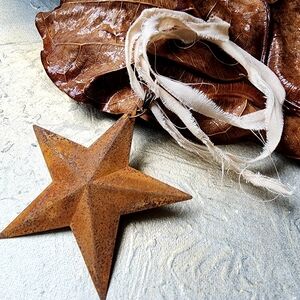 Rustic Barn Strar Western Americana Statement Pendant Shabby Chic